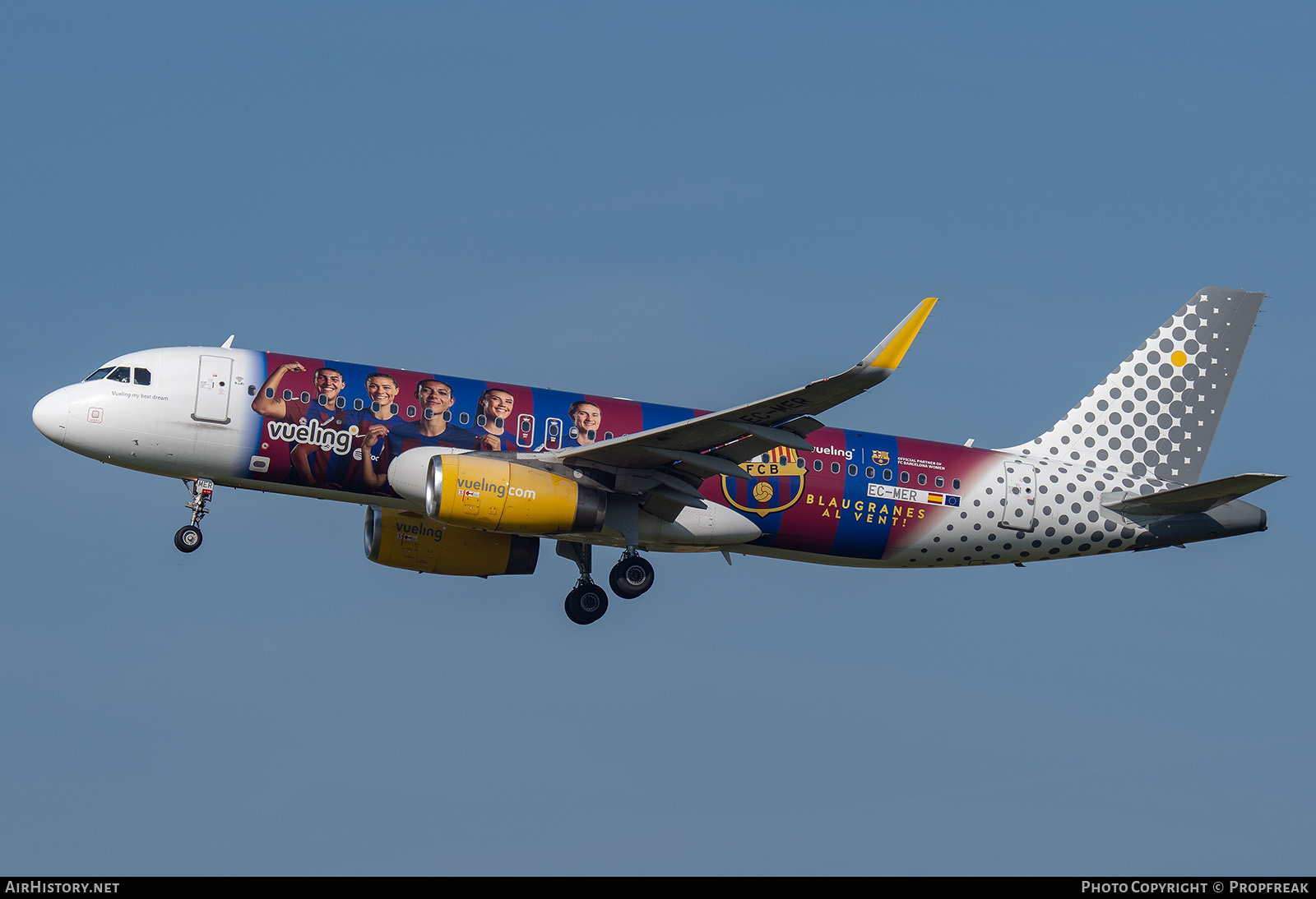 Aircraft Photo of EC-MER | Airbus A320-232 | Vueling Airlines | AirHistory.net #708302