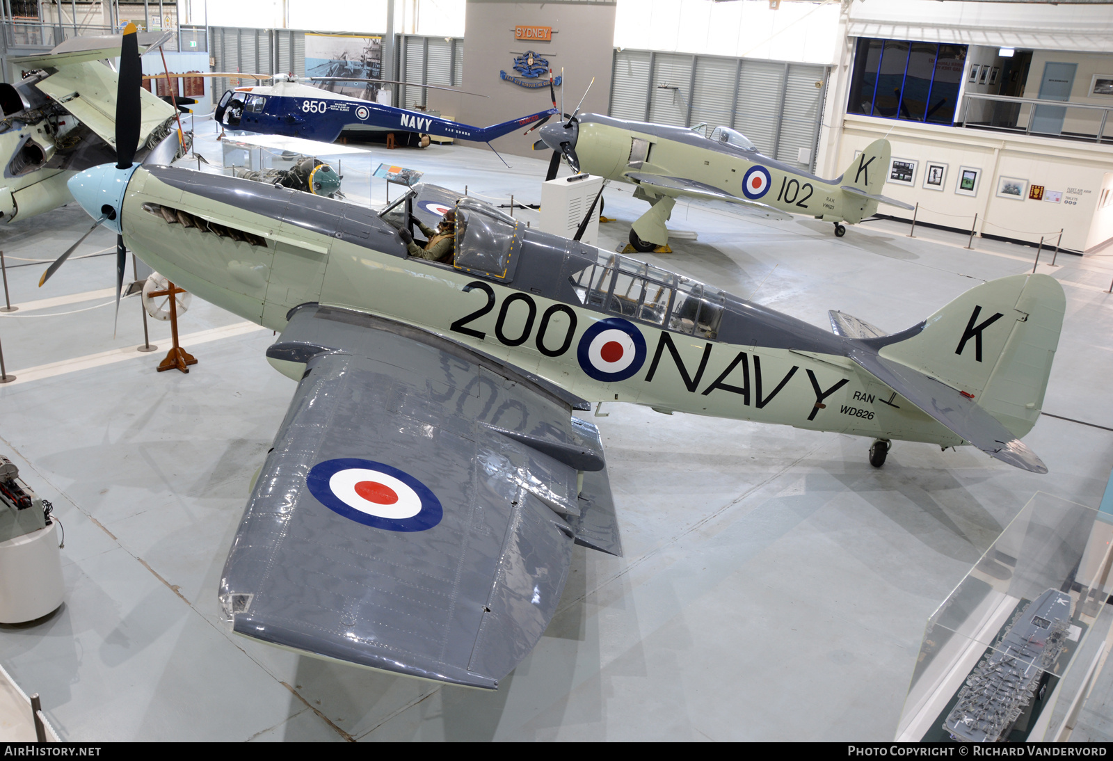 Aircraft Photo of WD826 | Fairey Firefly AS6 | Australia - Navy | AirHistory.net #708377