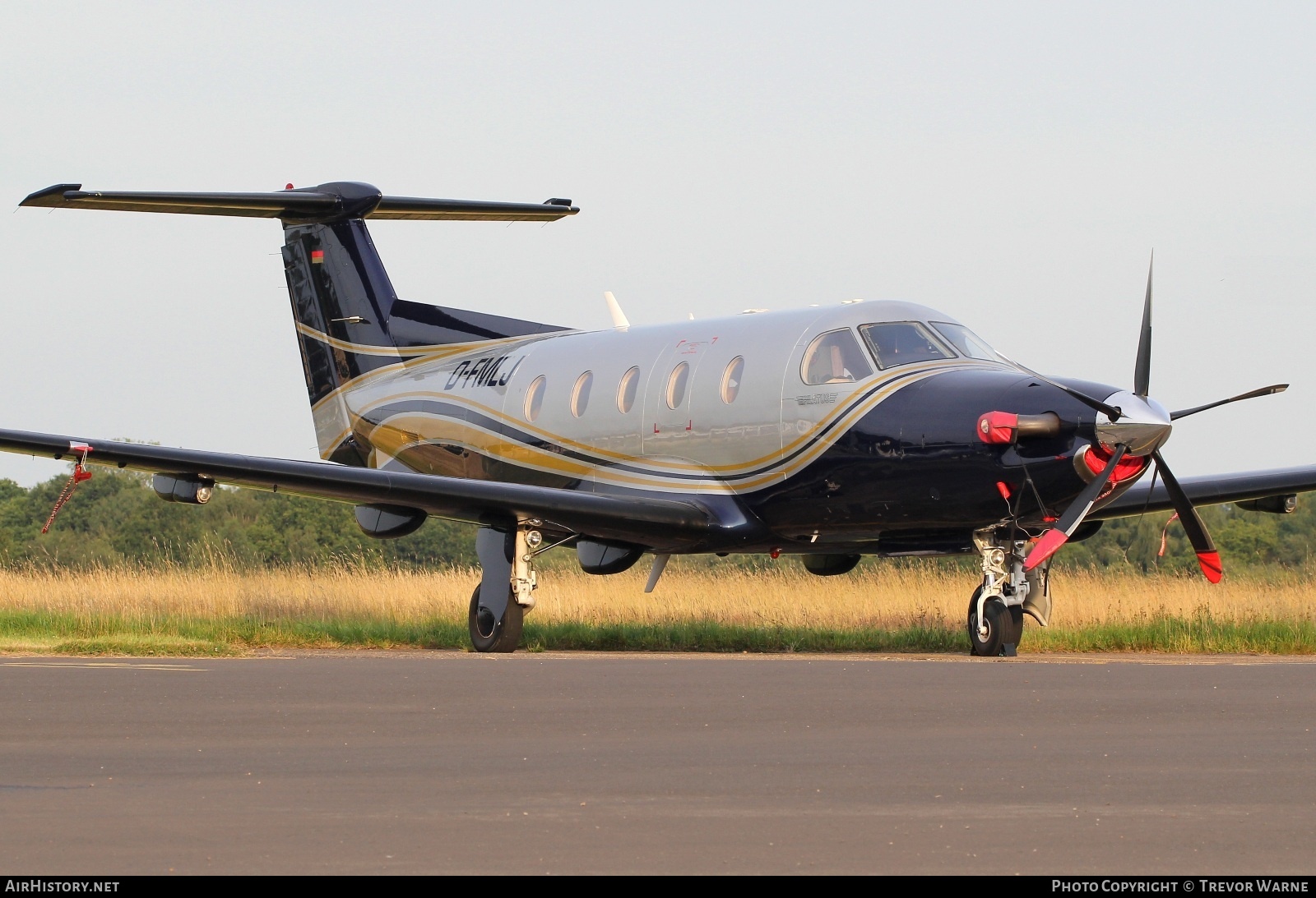 Aircraft Photo of D-FMLJ | Pilatus PC-12/45 | AirHistory.net #708434