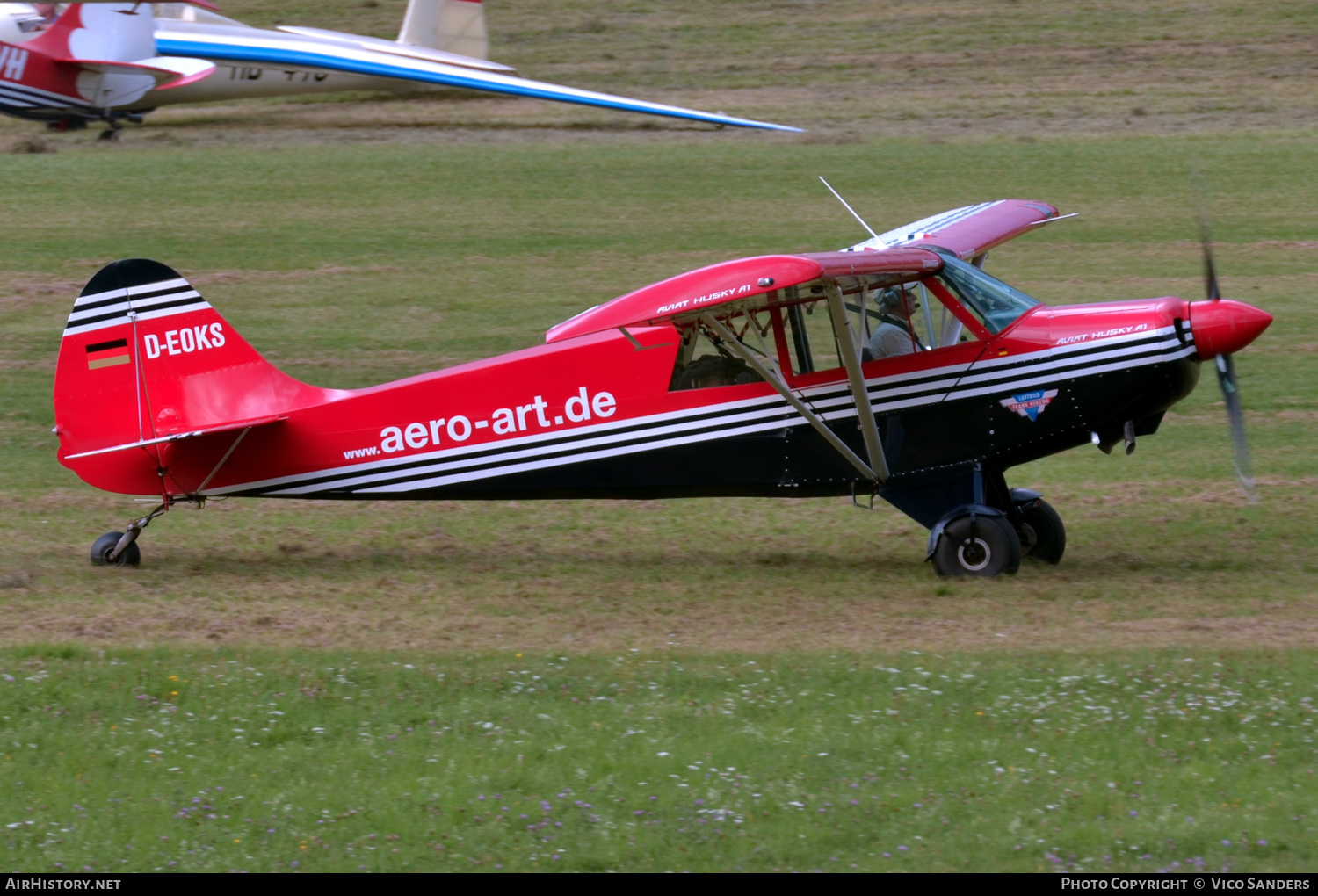 Aircraft Photo of D-EOKS | Aviat A-1A Husky | AirHistory.net #710369