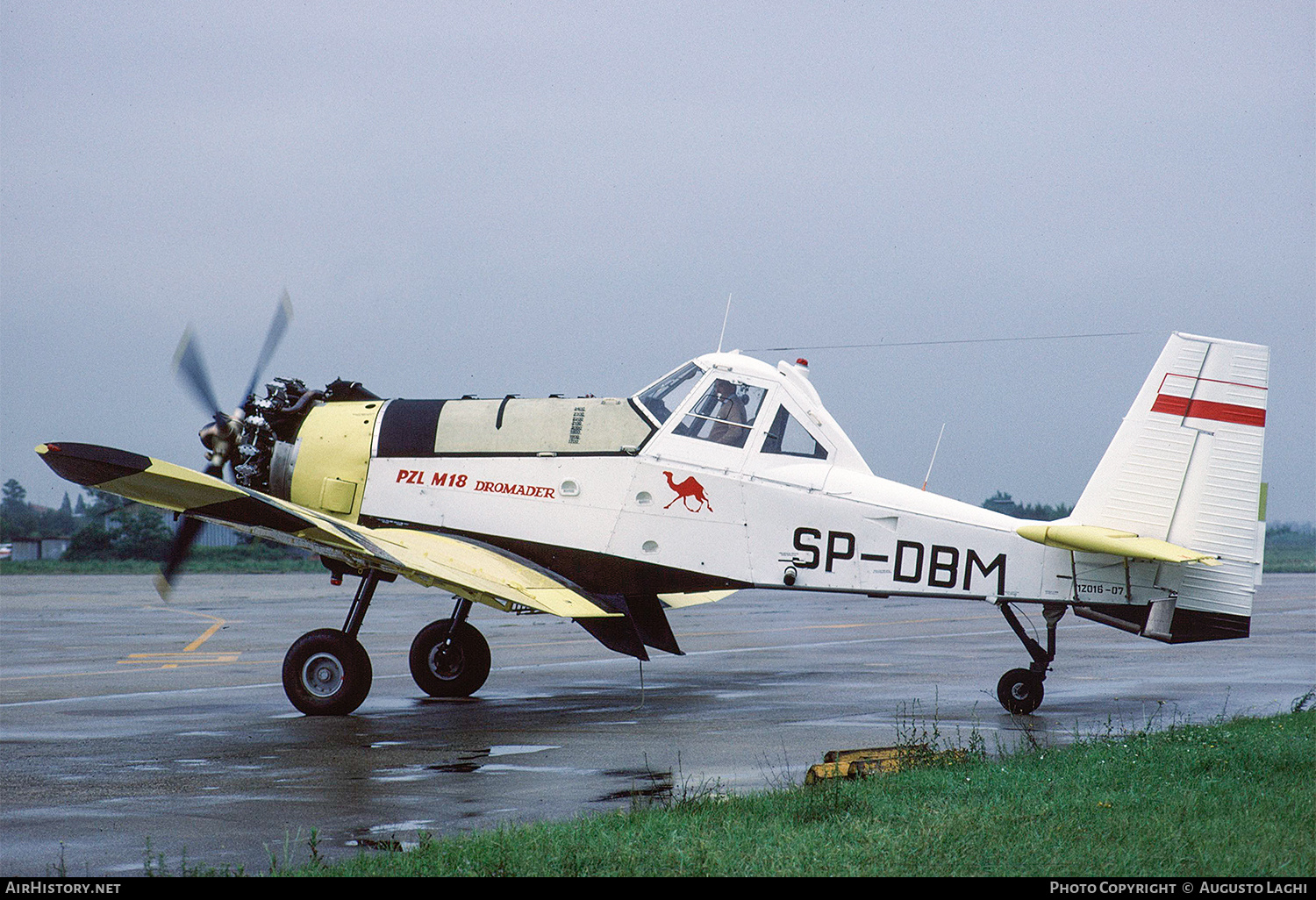 Aircraft Photo of SP-DBM | PZL-Mielec M-18B Dromader | AirHistory.net #711450