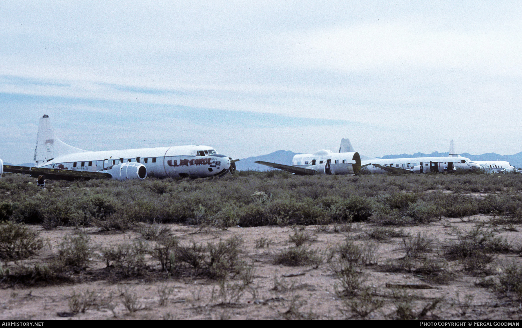 Aircraft Photo of 141024 | Convair EC-131G | USA - Navy | AirHistory.net #714222