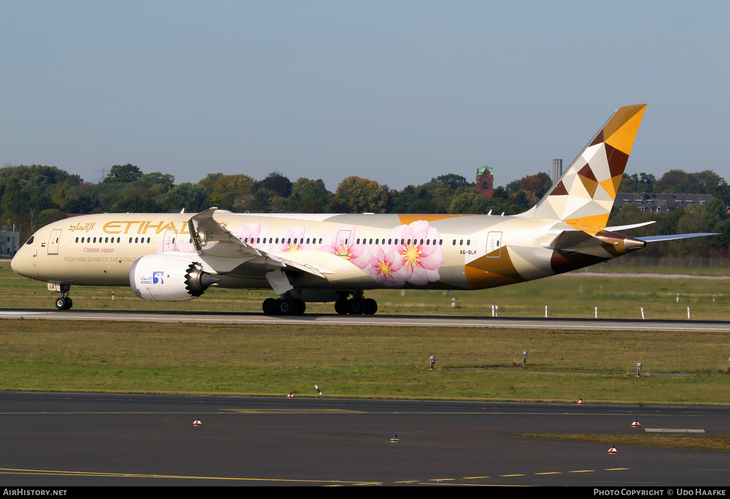 Aircraft Photo of A6-BLK | Boeing 787-9 Dreamliner | Etihad Airways | AirHistory.net #714484