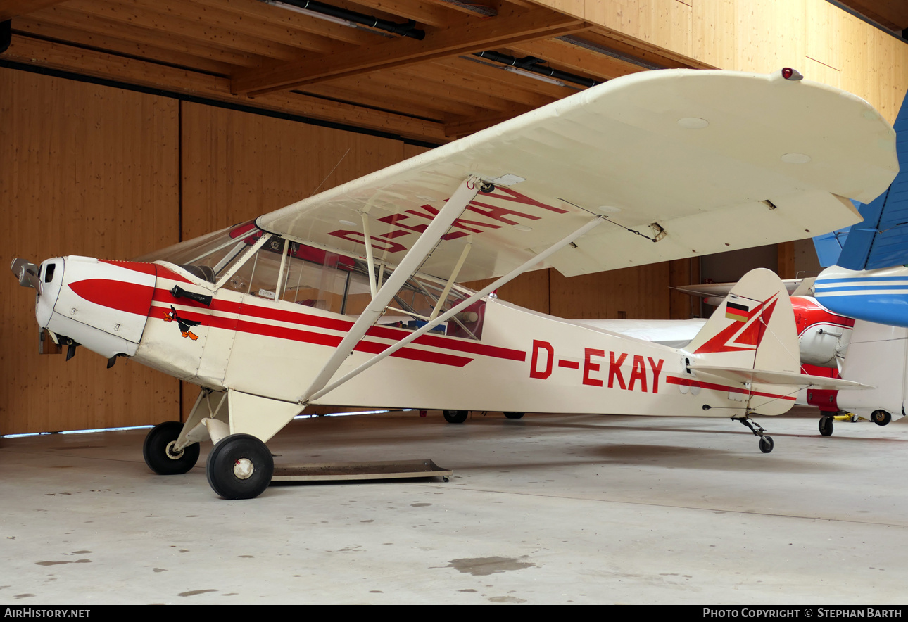 Aircraft Photo of D-EKAY | Piper PA-18-95 Super Cub | AirHistory.net #715353