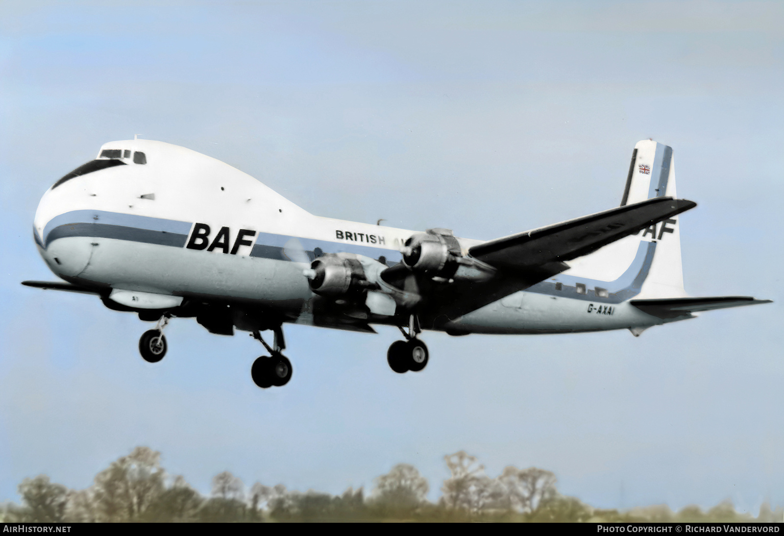 Aircraft Photo of G-AXAI | Aviation Traders ATL-98 Carvair | British Air Ferries - BAF | AirHistory.net #715570