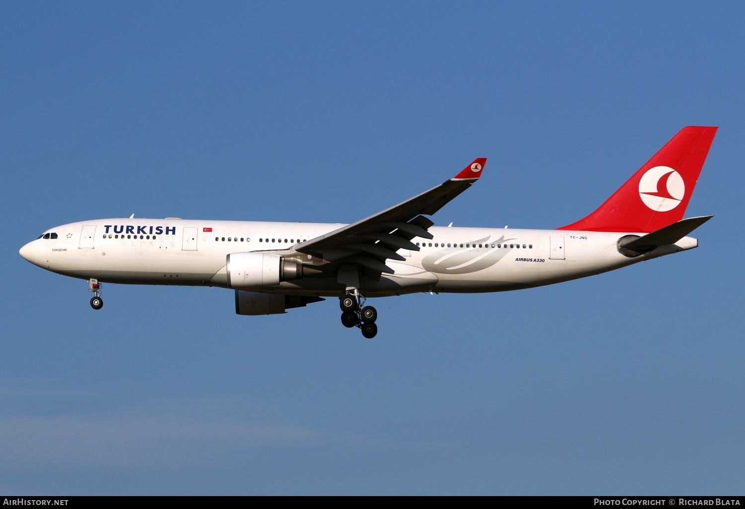 Aircraft Photo of TC-JNG | Airbus A330-203 | Turkish Airlines | AirHistory.net #716062