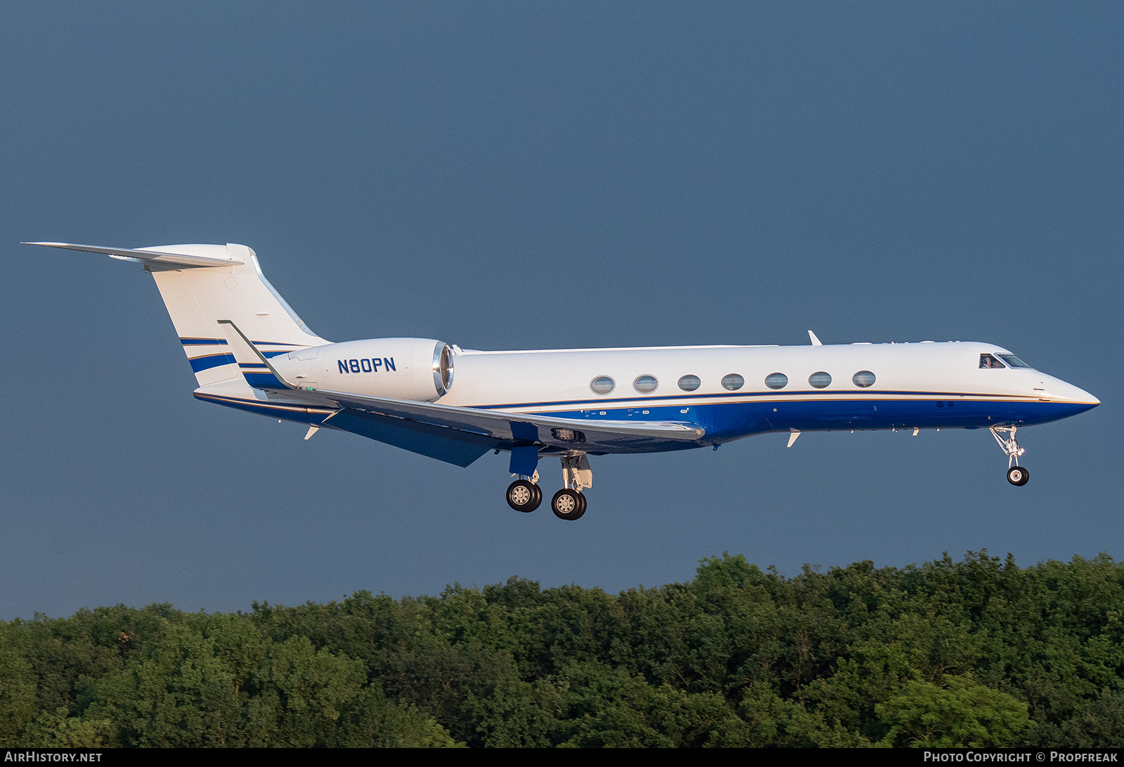 Aircraft Photo of N80PN | Gulfstream Aerospace G-V Gulfstream V | AirHistory.net #716229