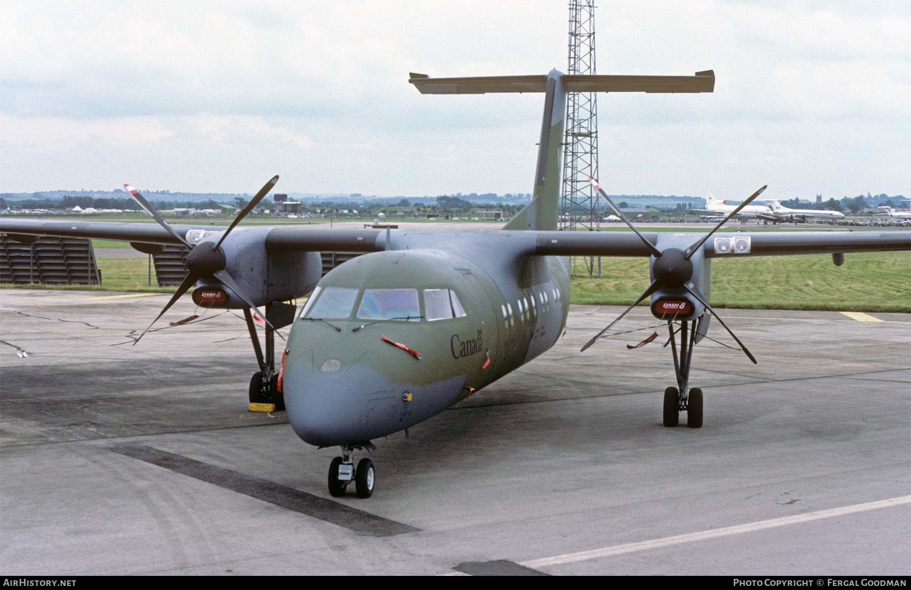 Aircraft Photo of 142801 | De Havilland Canada CC-142 Dash 8 | Canada - Air Force | AirHistory.net #716595