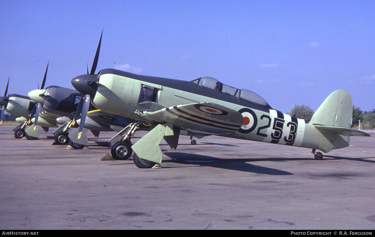 Aircraft Photo of G-BCOW | Hawker Sea Fury T20S | UK - Navy | AirHistory.net #716789
