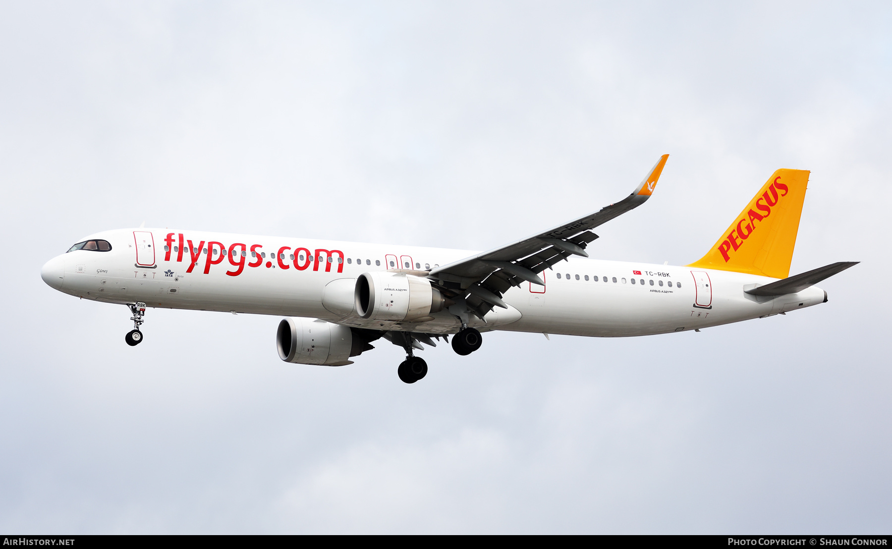 Aircraft Photo of TC-RBK | Airbus A321-251NX | Pegasus Airlines | AirHistory.net #718419