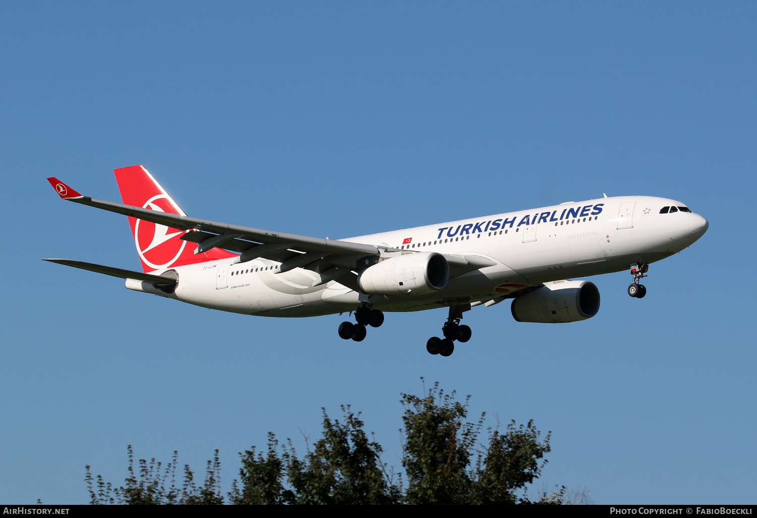 Aircraft Photo of TC-LOM | Airbus A330-243 | Turkish Airlines | AirHistory.net #720627