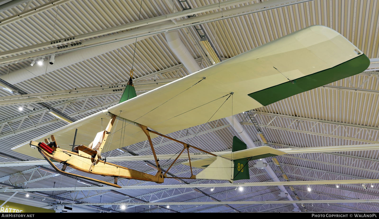 Aircraft Photo of 80 | Schneider SG-38 Schulgleiter G 101 | AirHistory.net #722107