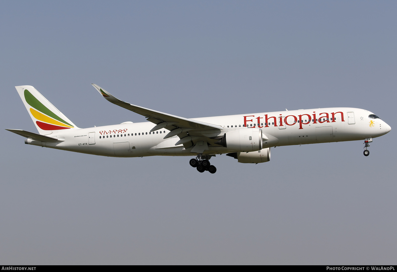Aircraft Photo of ET-AYA | Airbus A350-941 | Ethiopian Airlines | AirHistory.net #724764