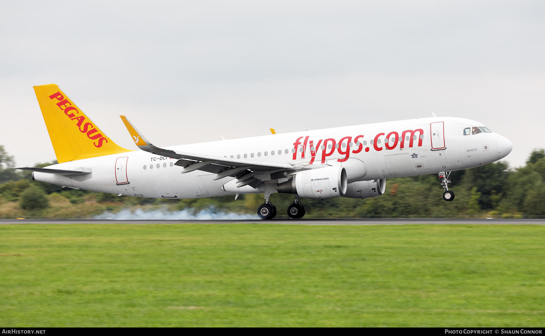 Aircraft Photo of TC-DCI | Airbus A320-216 | Pegasus Airlines | AirHistory.net #725339