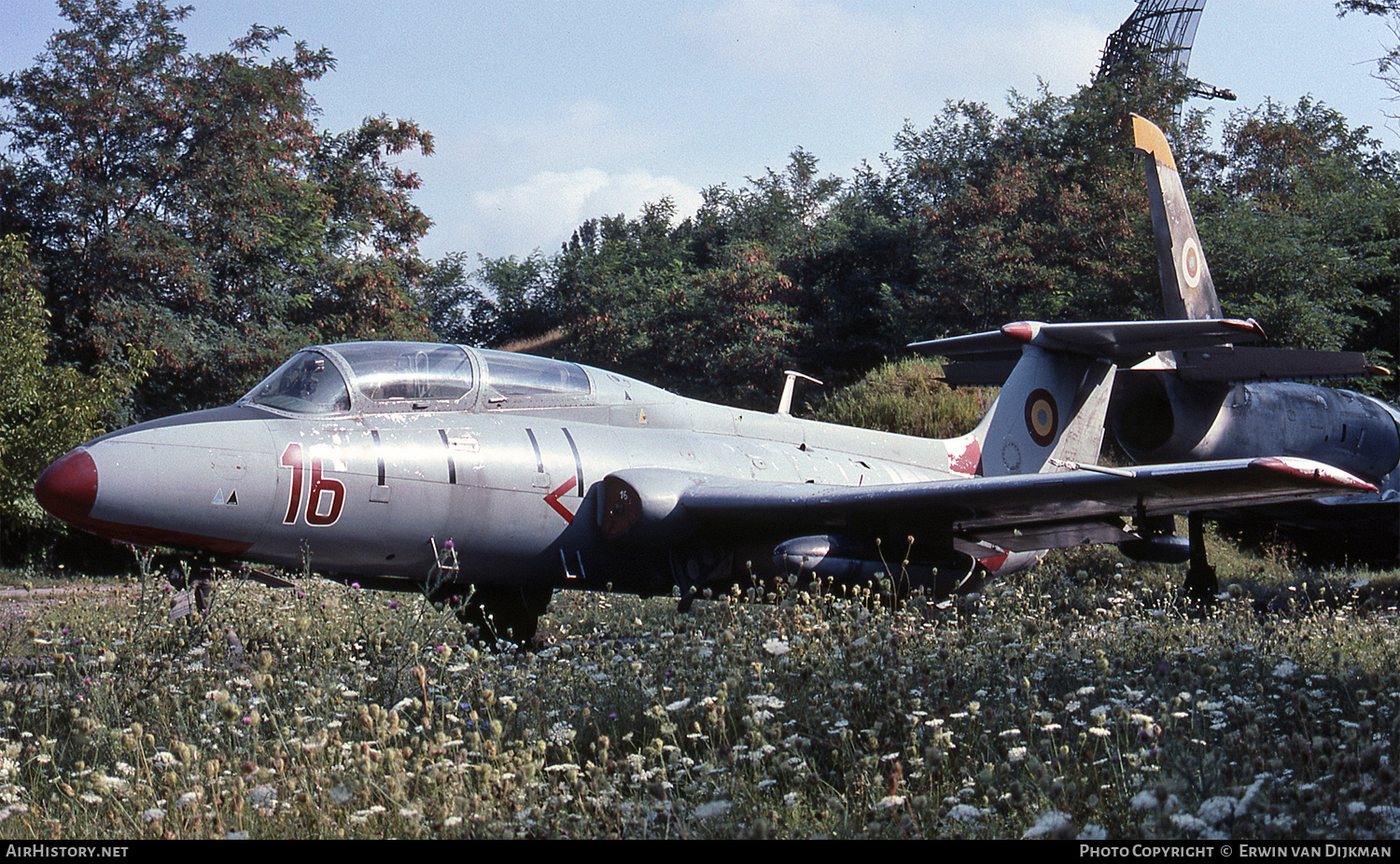Aircraft Photo of 16 | Aero L-29 Delfin | Romania - Air Force | AirHistory.net #725356