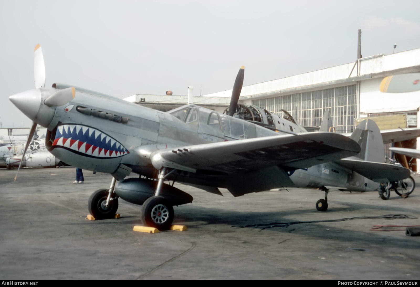 Aircraft Photo of N85104 / NL85104 | Curtiss P-40N Warhawk | USA - Air Force | AirHistory.net #726062