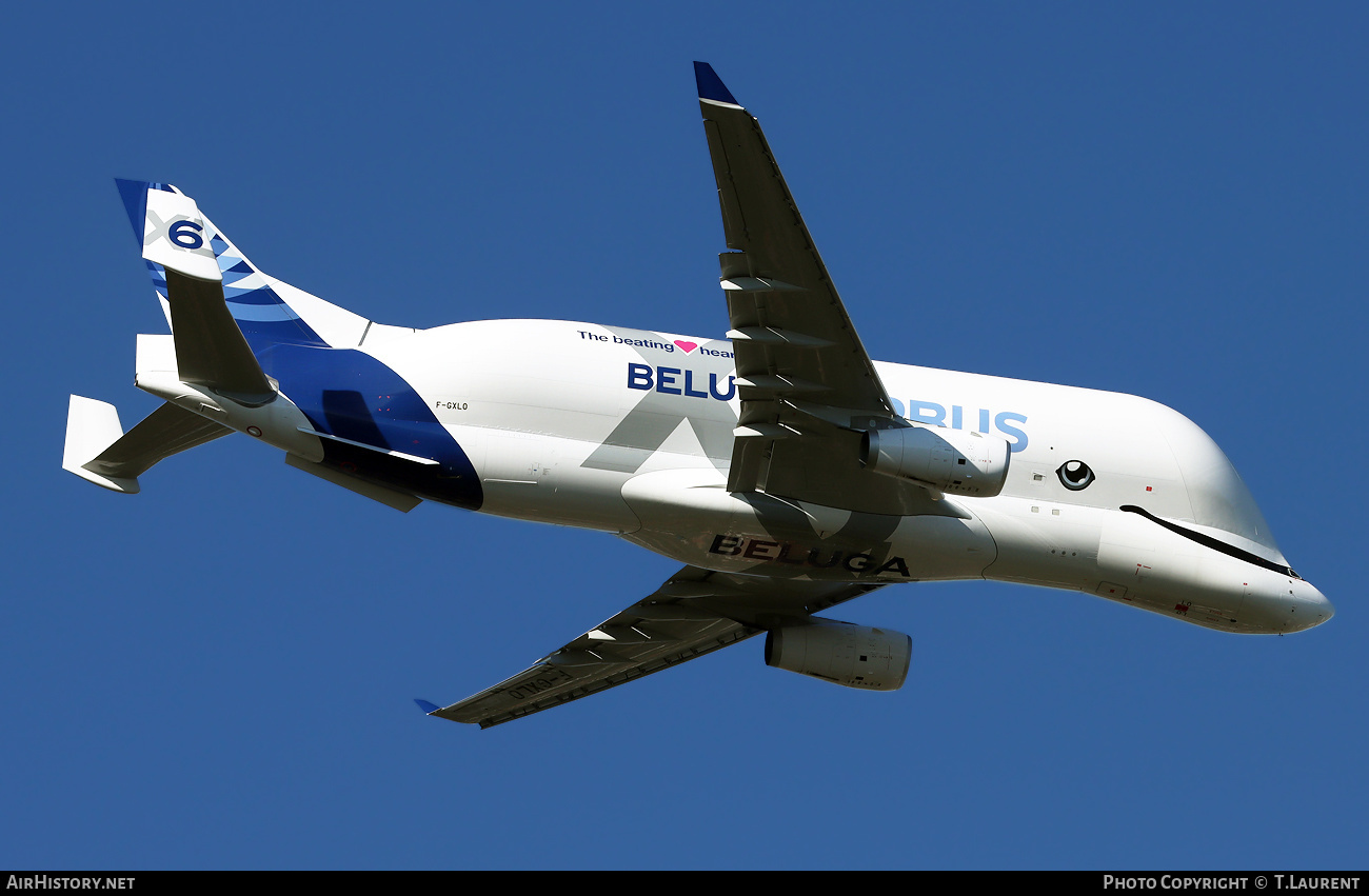 Aircraft Photo of F-GXLO | Airbus A330-743L Beluga XL | Airbus Transport International | AirHistory.net #727671