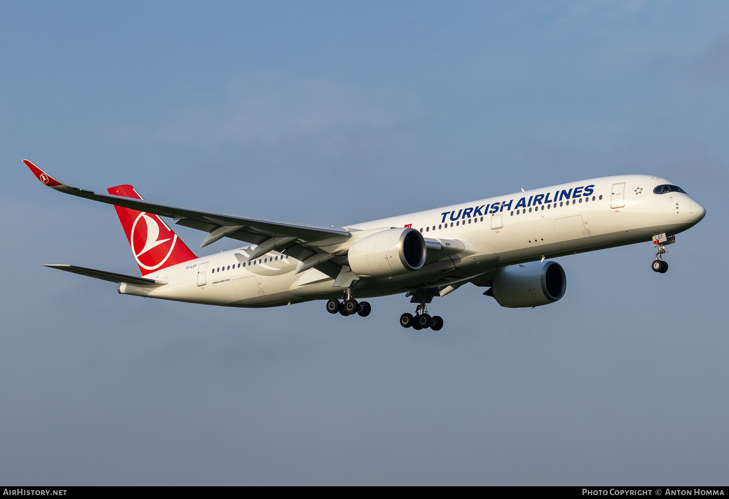Aircraft Photo of TC-LGY | Airbus A350-941 | Turkish Airlines | AirHistory.net #728857