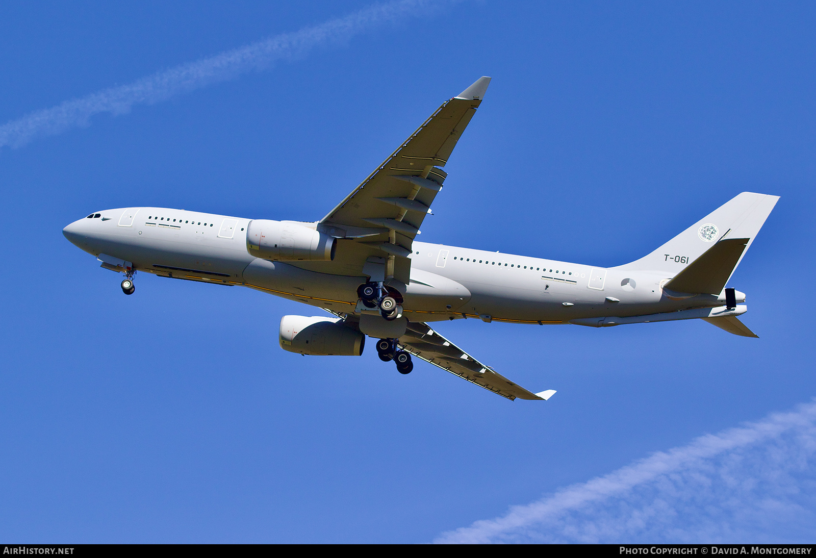 Aircraft Photo of T-061 | Airbus A330-243MRTT | Netherlands - Air Force | AirHistory.net #731224