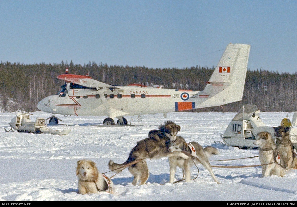 Aircraft Photo of 13802 | De Havilland Canada CC-138 Twin Otter | Canada - Air Force | AirHistory.net #731348