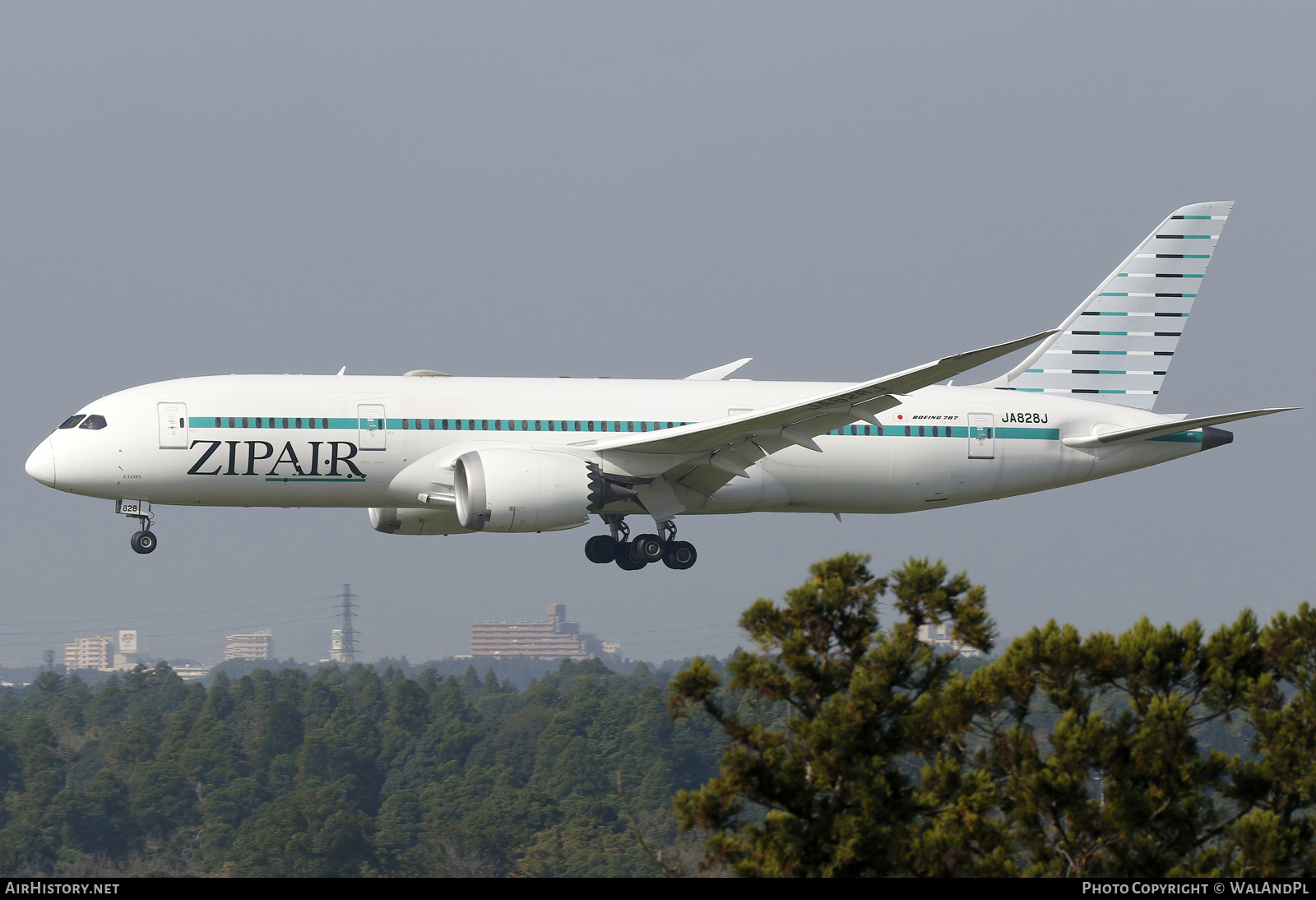 Aircraft Photo of JA828J | Boeing 787-8 Dreamliner | ZipAir | AirHistory.net #733602