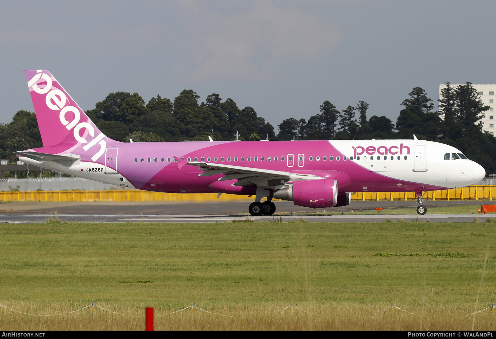 Aircraft Photo of JA828P | Airbus A320-214 | Peach Aviation | AirHistory.net #733741