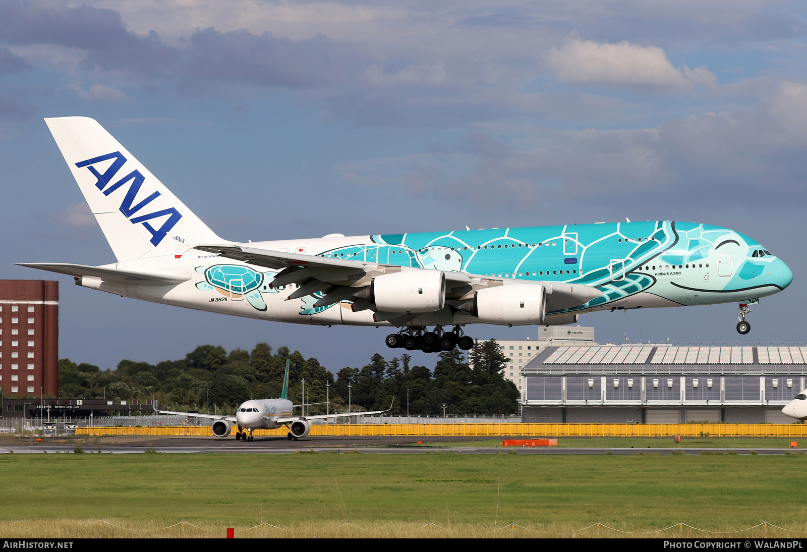 Aircraft Photo of JA382A | Airbus A380-841 | All Nippon Airways - ANA | AirHistory.net #734579