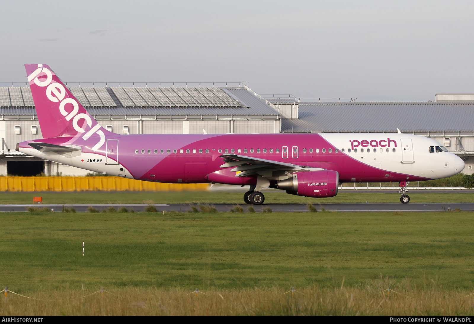 Aircraft Photo of JA819P | Airbus A320-214 | Peach Aviation | AirHistory.net #734596