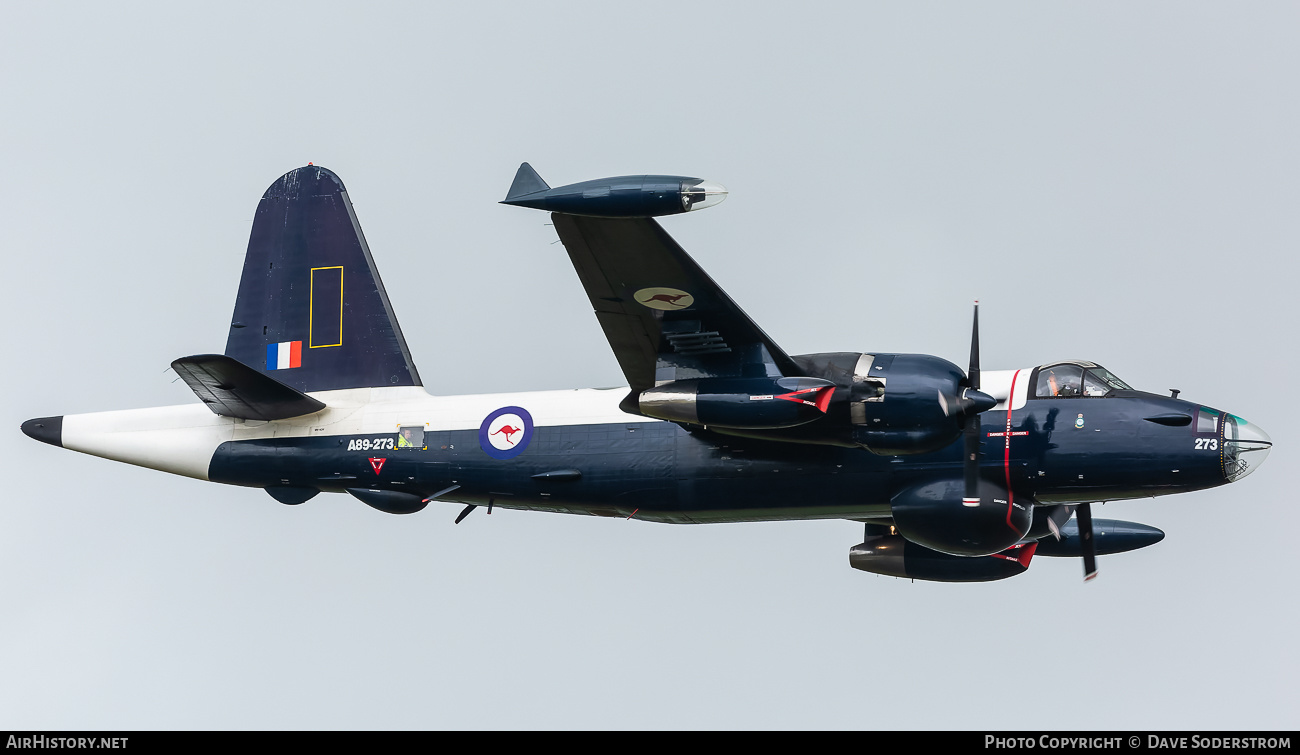 Aircraft Photo of VH-IOY / A89-273 | Lockheed SP-2H Neptune MR4 | Australia - Air Force | AirHistory.net #734628