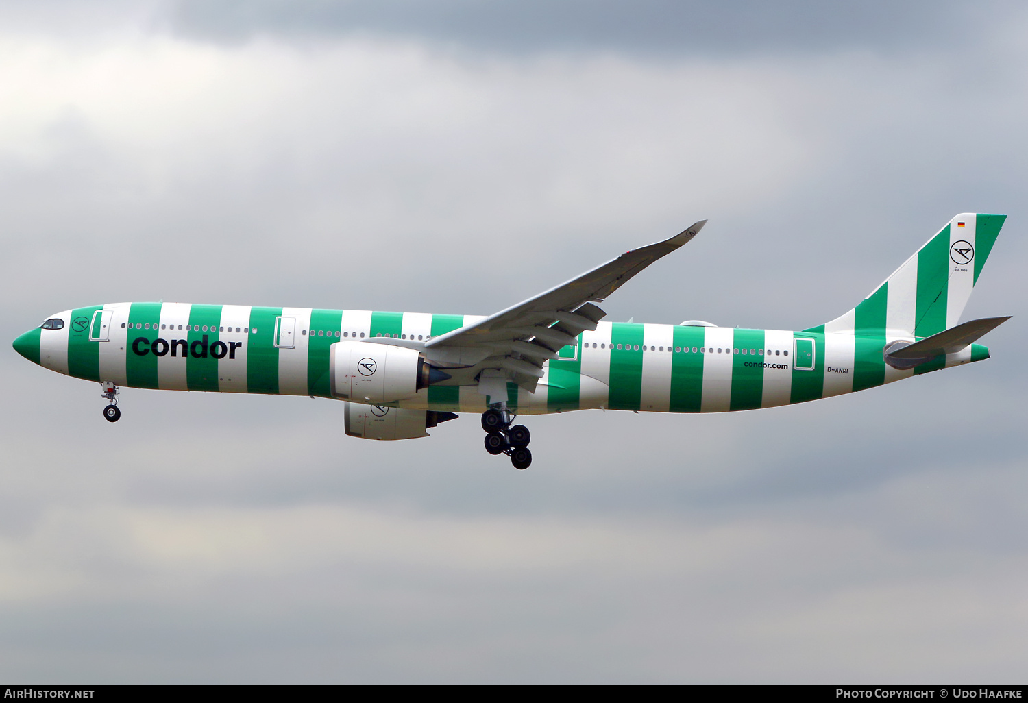 Aircraft Photo of D-ANRI | Airbus A330-941N | Condor Flugdienst | AirHistory.net #734908