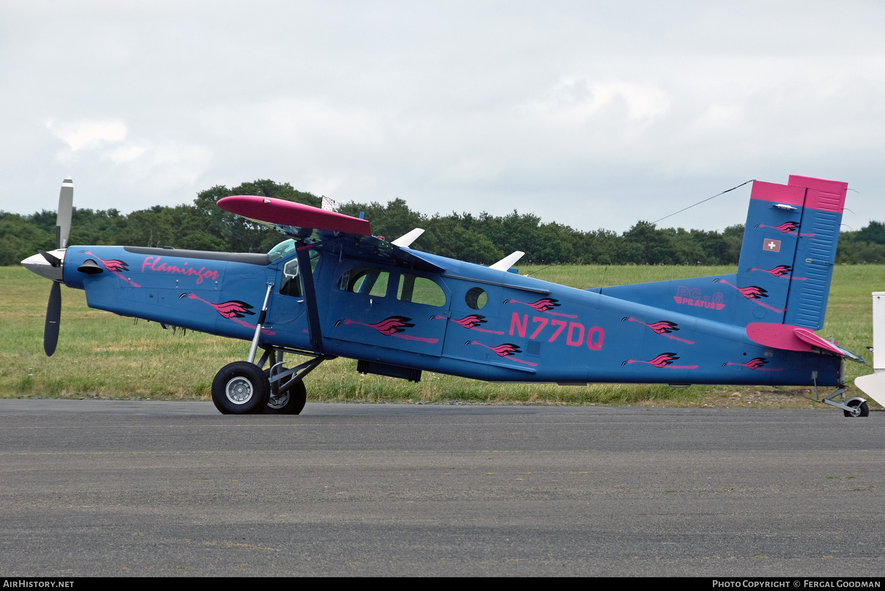 Aircraft Photo of N77DQ | Pilatus PC-6/B2-H4 Turbo Porter | AirHistory.net #735061