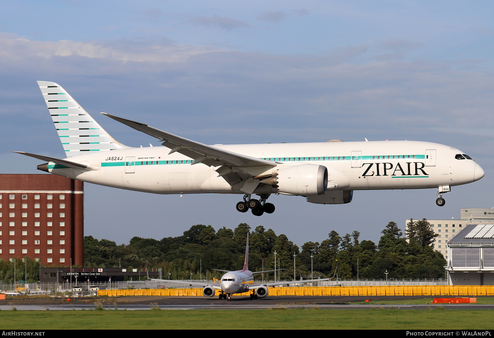 Aircraft Photo of JA824J | Boeing 787-8 Dreamliner | ZipAir | AirHistory.net #735110