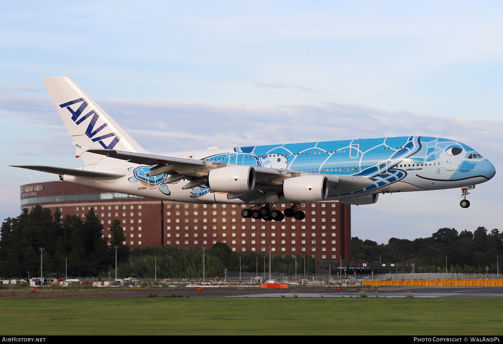 Aircraft Photo of JA381A | Airbus A380-841 | All Nippon Airways - ANA | AirHistory.net #735125