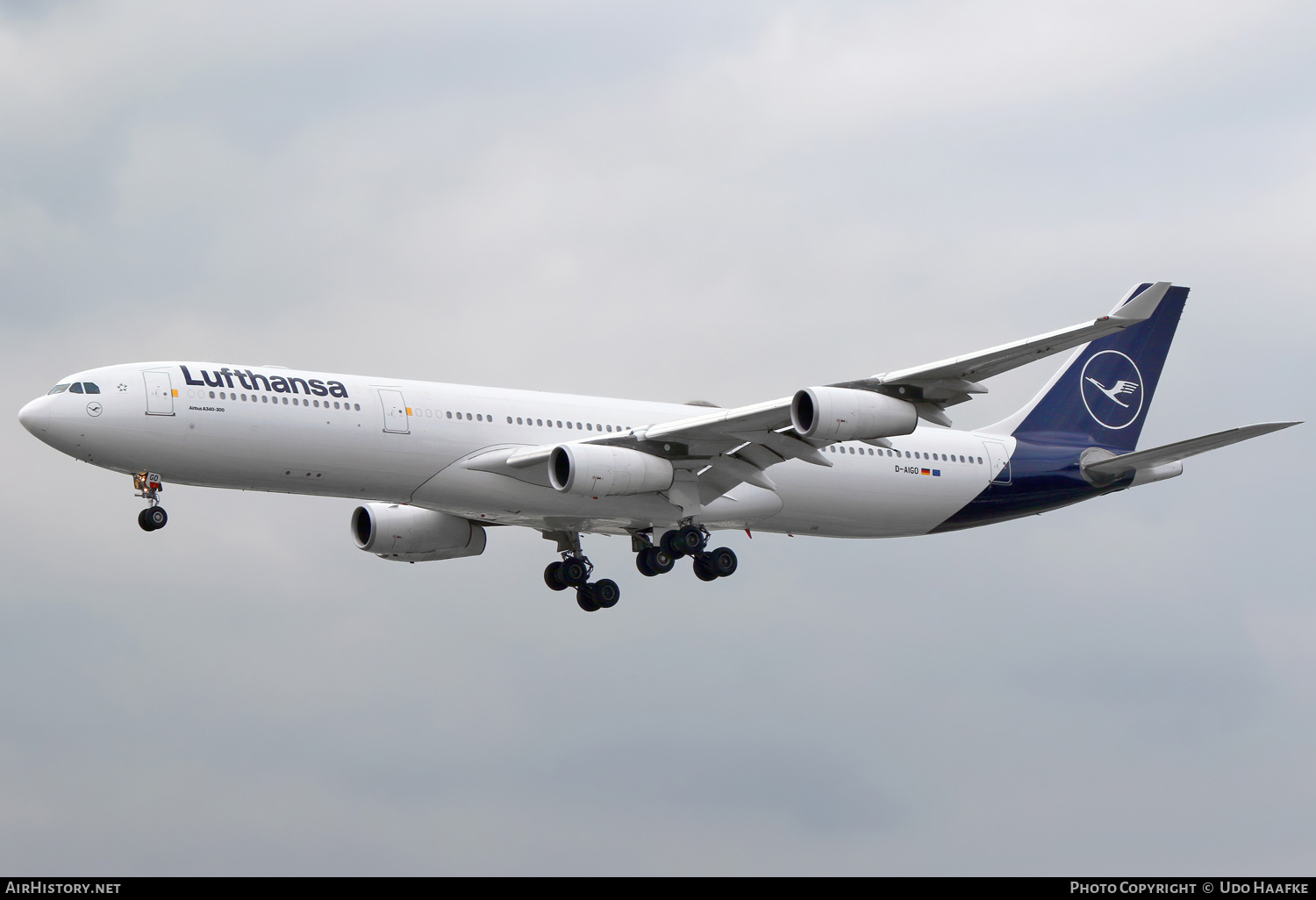 Aircraft Photo of D-AIGO | Airbus A340-313 | Lufthansa | AirHistory.net #735272