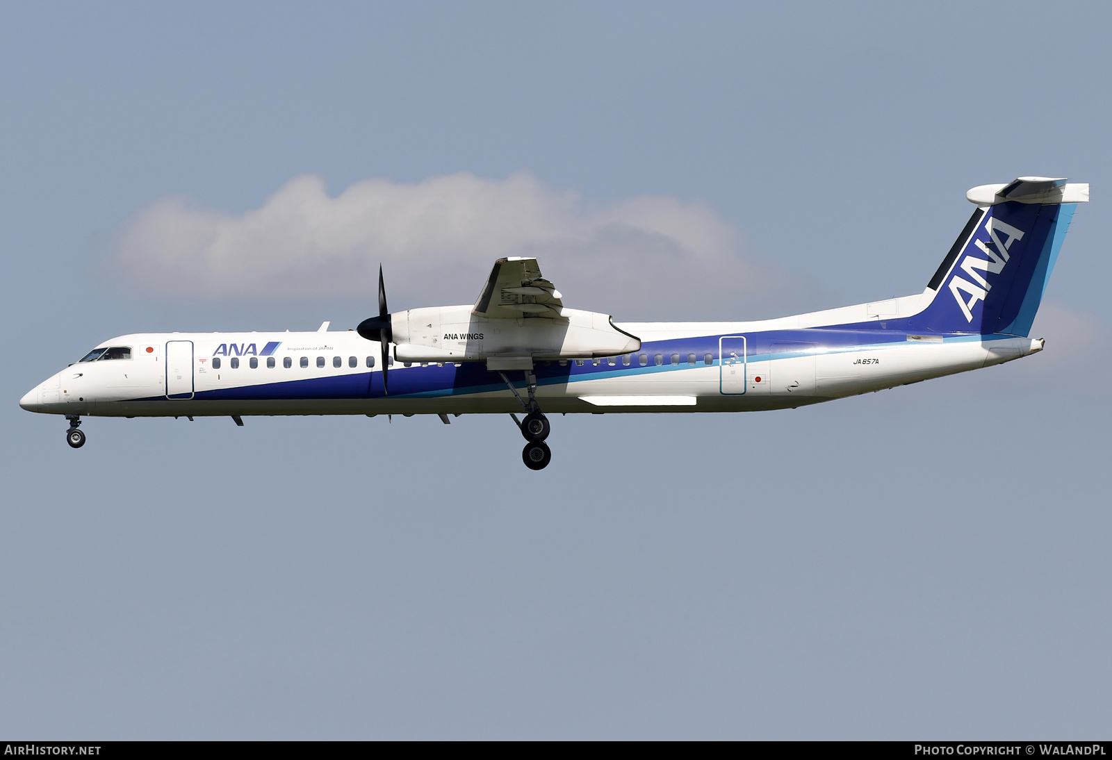 Aircraft Photo of JA857A | Bombardier DHC-8-402 Dash 8 | All Nippon Airways - ANA Wings | AirHistory.net #735306