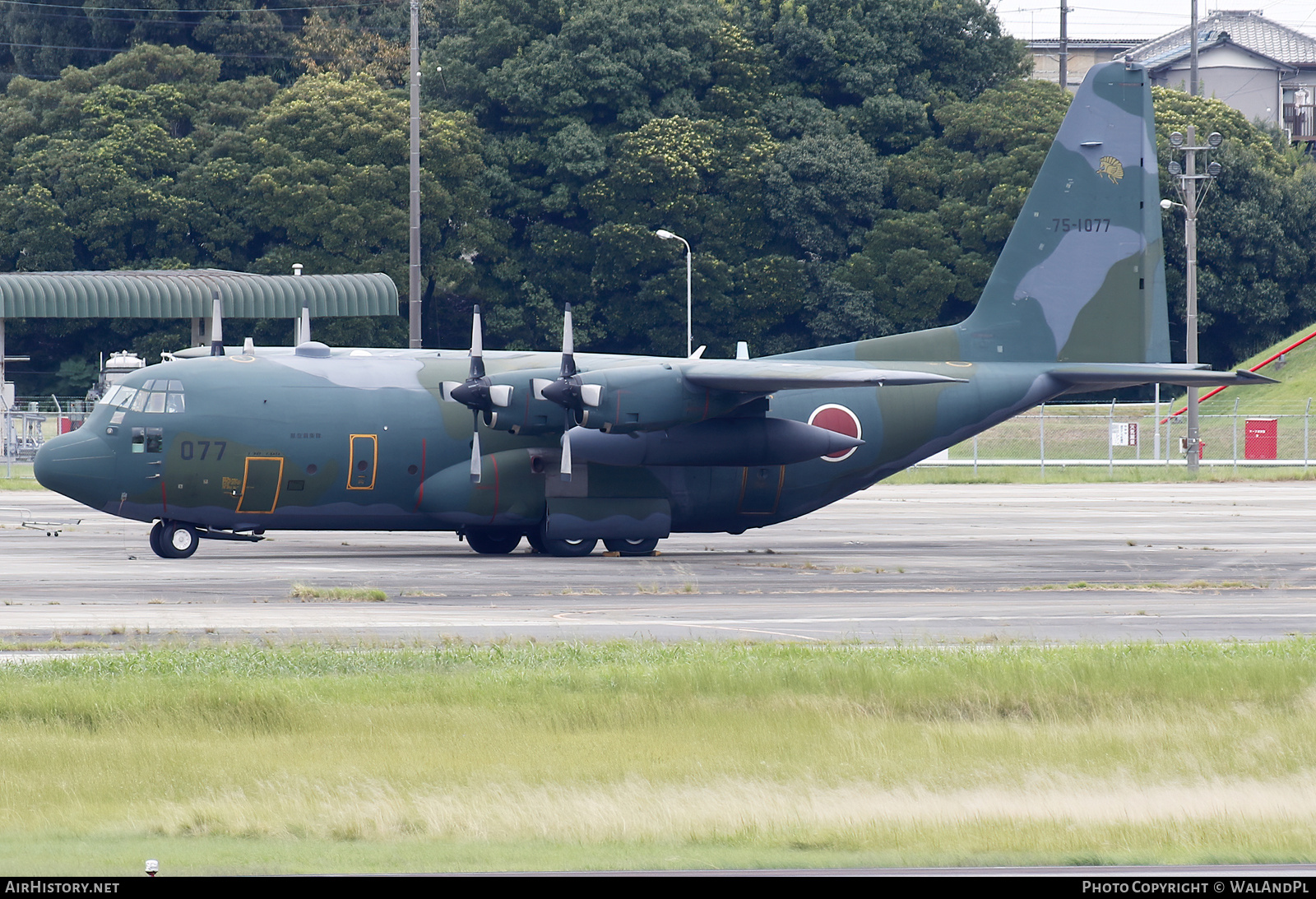 Aircraft Photo of 75-1077 | Lockheed C-130H Hercules | Japan - Air Force | AirHistory.net #735642