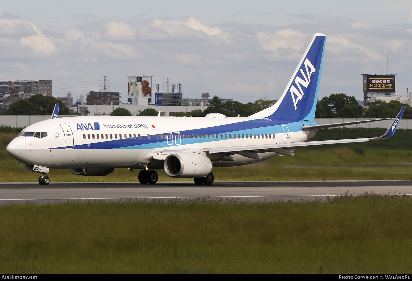 Aircraft Photo of JA81AN | Boeing 737-881 | All Nippon Airways - ANA | AirHistory.net #737033