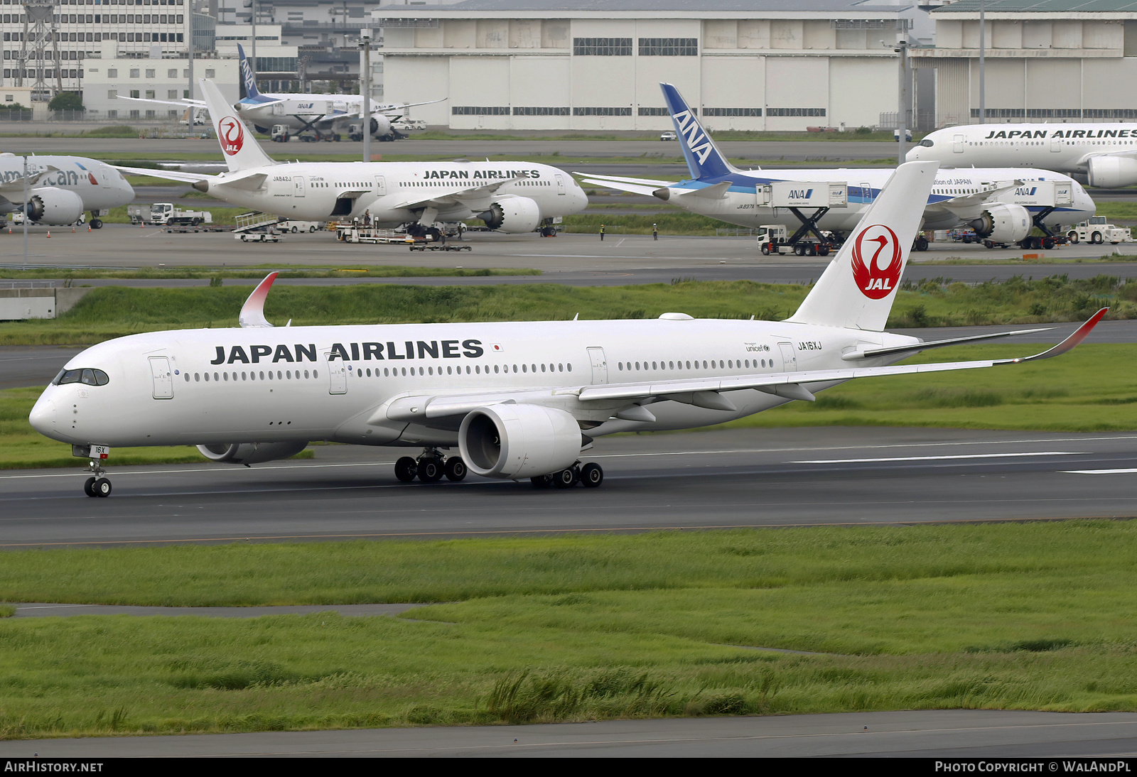Aircraft Photo of JA16XJ | Airbus A350-941 | Japan Airlines - JAL | AirHistory.net #737512