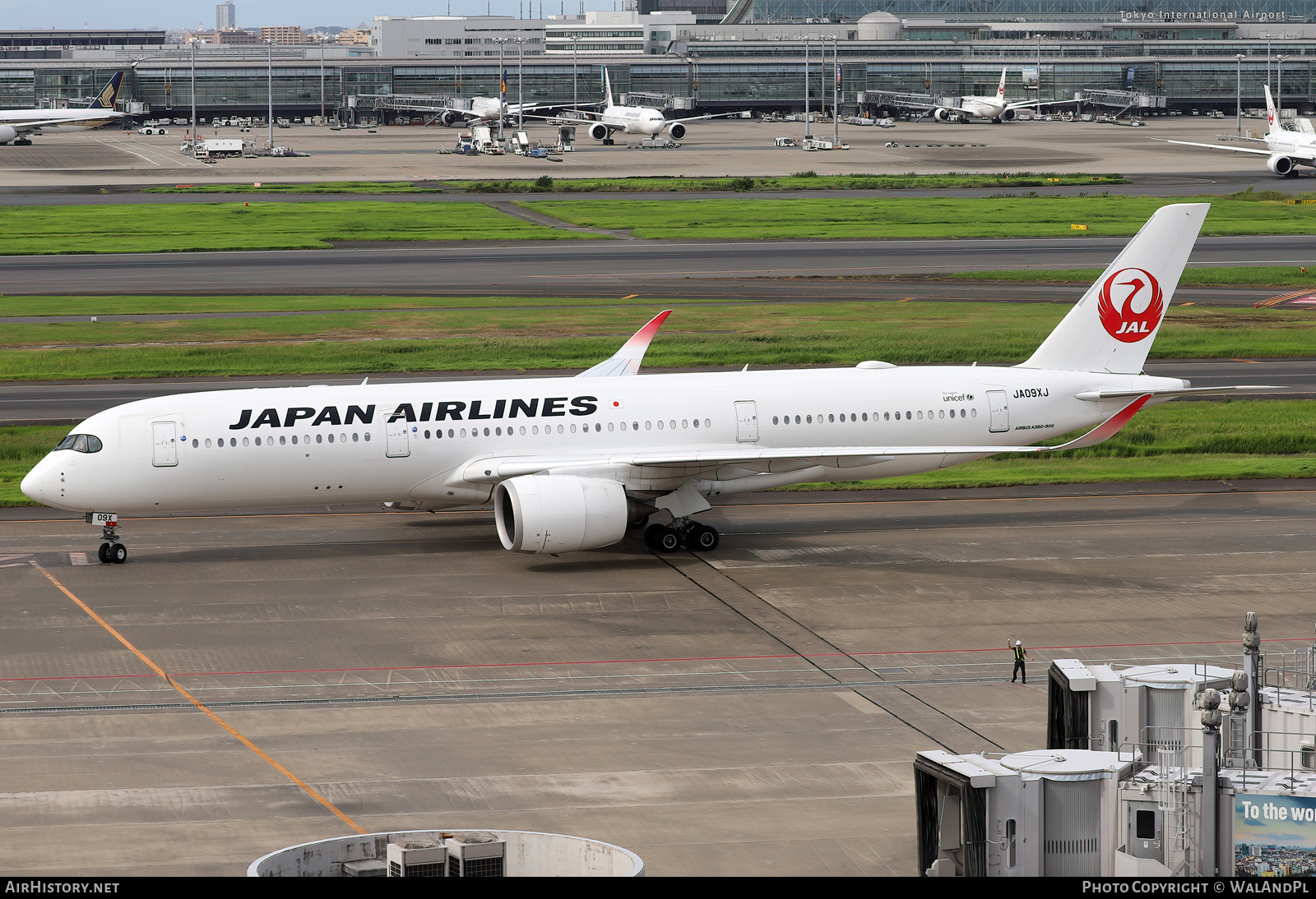 Aircraft Photo of JA09XJ | Airbus A350-941 | Japan Airlines - JAL | AirHistory.net #737522