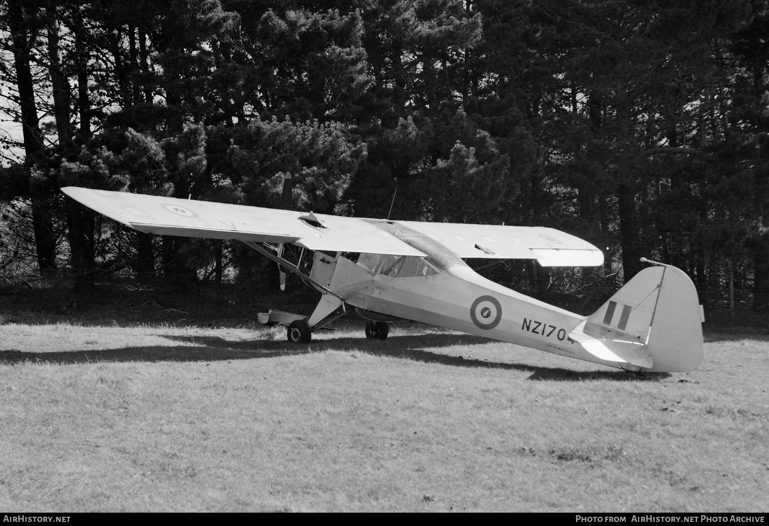 Aircraft Photo of NZ1704 | Auster J-5 | New Zealand - Air Force | AirHistory.net #737560