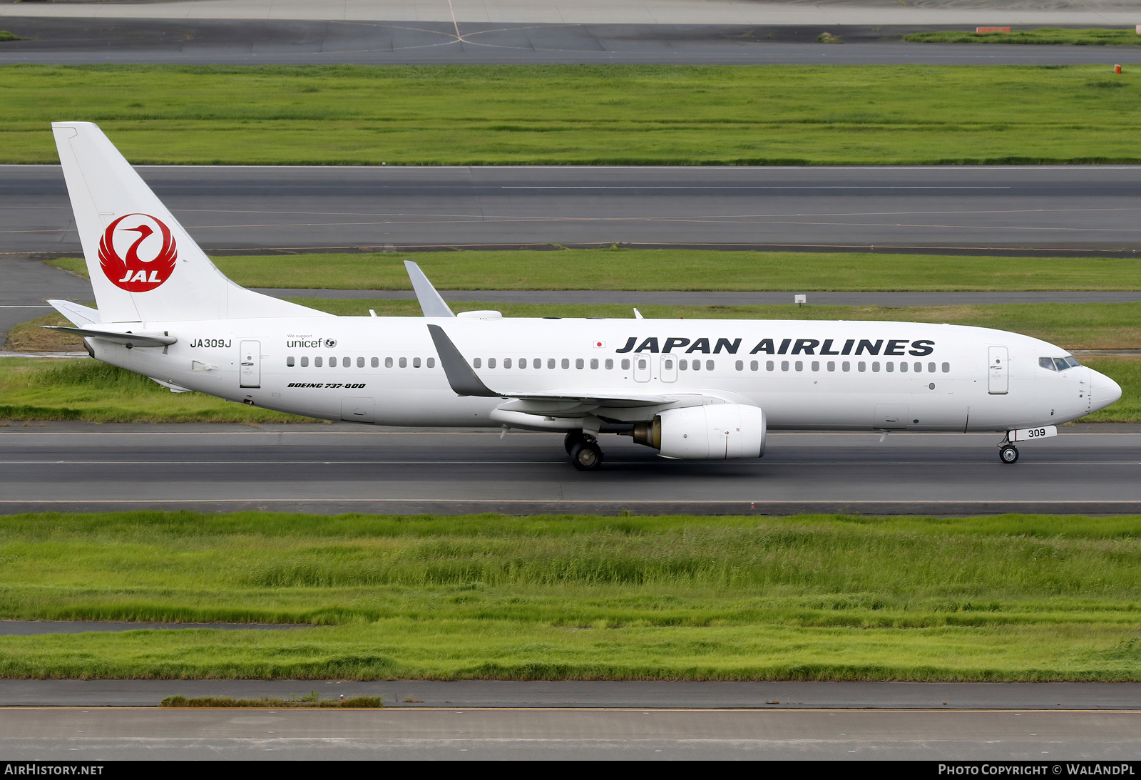 Aircraft Photo of JA309J | Boeing 737-846 | Japan Airlines - JAL | AirHistory.net #738009