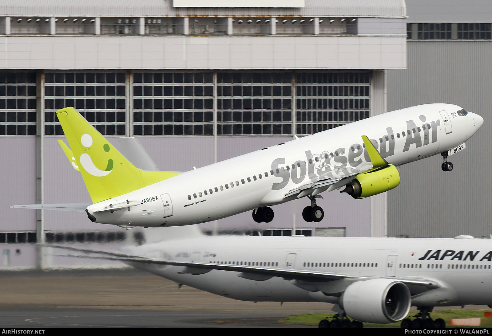 Aircraft Photo of JA808X | Boeing 737-81D | Solaseed Air | AirHistory.net #738318