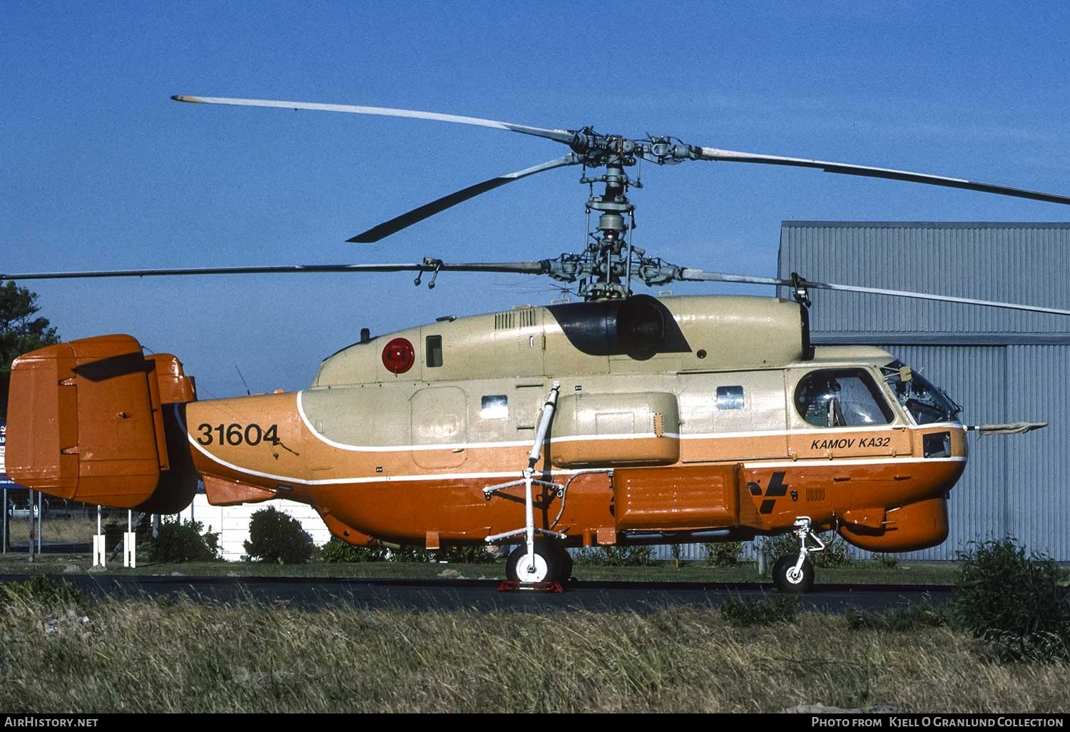 Aircraft Photo of RA-31604 / 31604 | Kamov Ka-32A11BC | Court Helicopters | AirHistory.net #739254