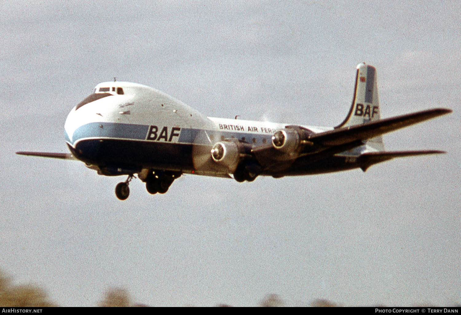 Aircraft Photo of G-AXAI | Aviation Traders ATL-98 Carvair | British Air Ferries - BAF | AirHistory.net #739653