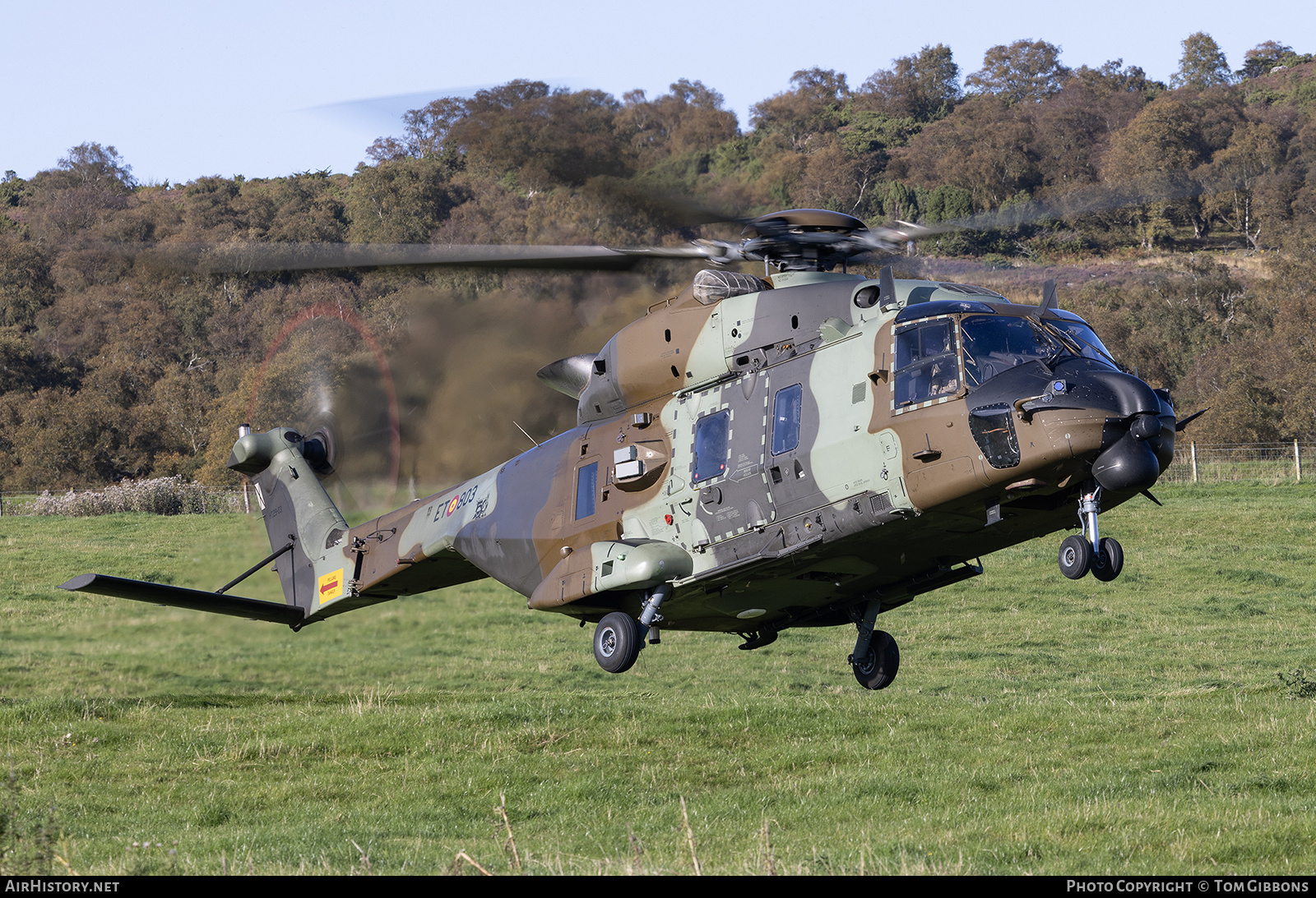 Aircraft Photo of HT.29-03 | NHI NH90 TTH | Spain - Army | AirHistory.net #740248