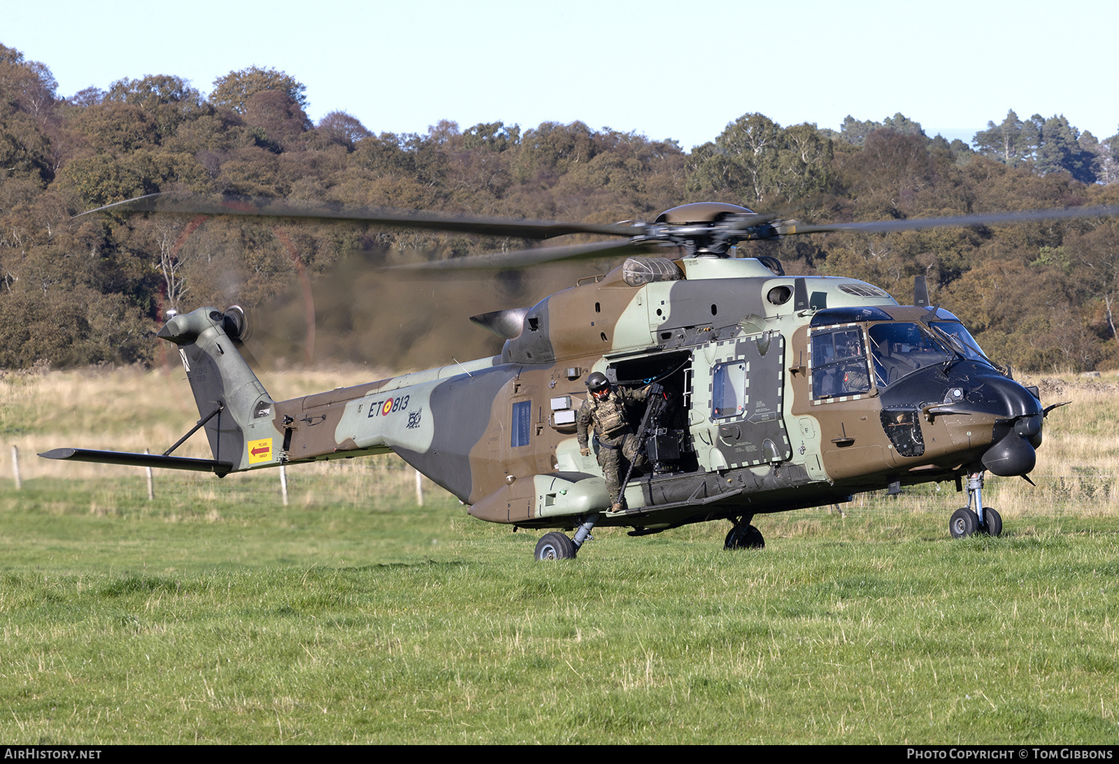 Aircraft Photo of HT.29-13 / 10209 | NHI NH90 TTH | Spain - Army | AirHistory.net #740261