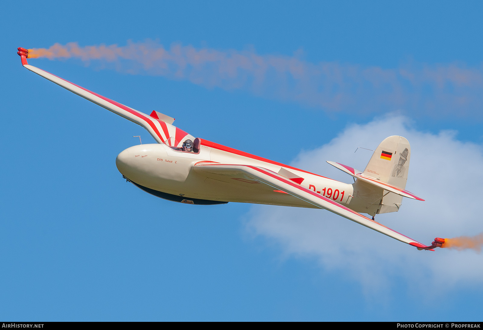 Aircraft Photo of D-1901 | DFS Habicht E | AirHistory.net #741192