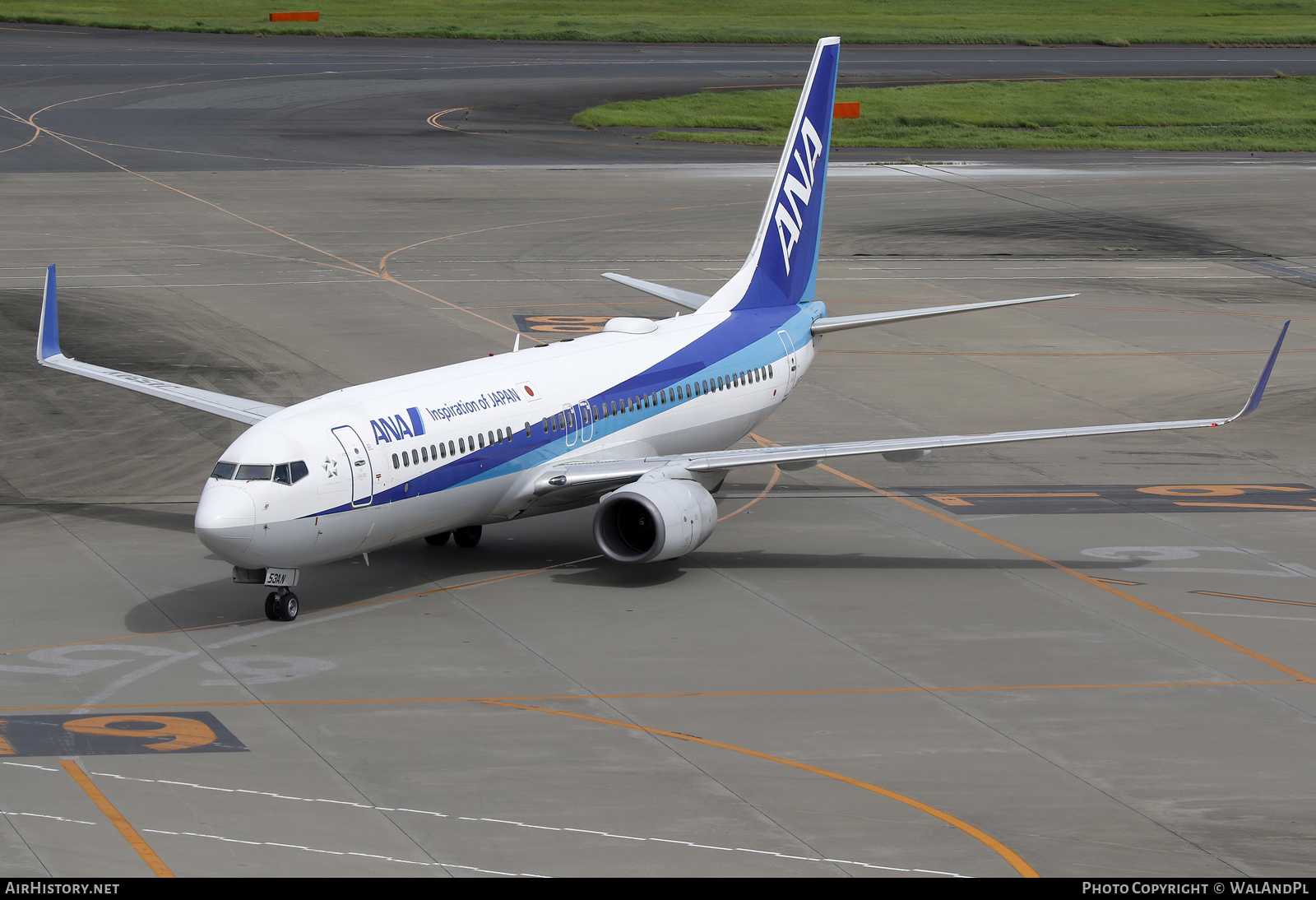 Aircraft Photo of JA53AN | Boeing 737-881 | All Nippon Airways - ANA | AirHistory.net #741841