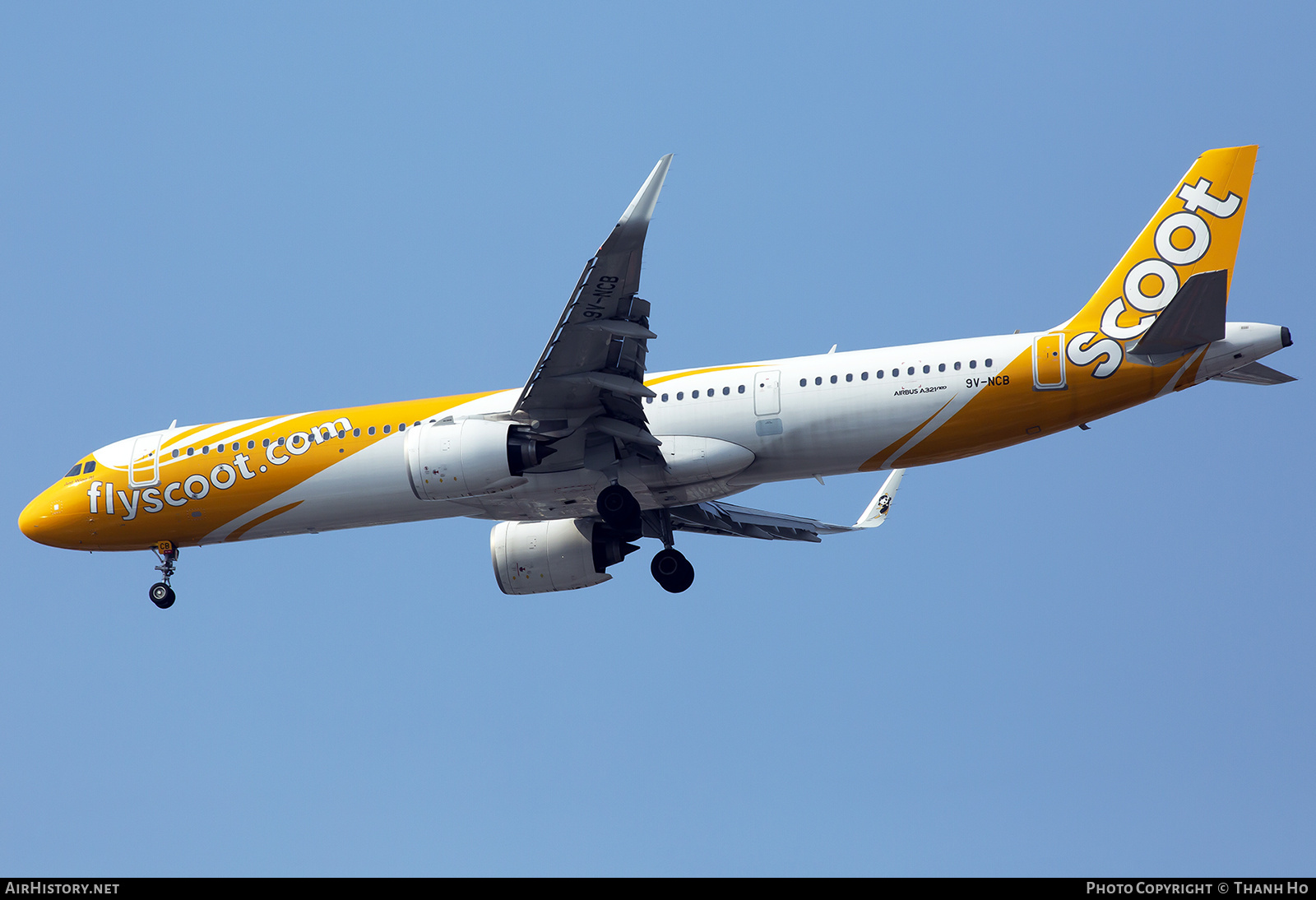 Aircraft Photo of 9V-NCB | Airbus A321-251NX | Scoot | AirHistory.net #741961
