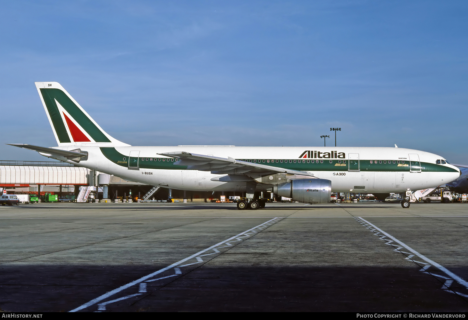 Aircraft Photo of I-BUSH | Airbus A300B4-203 | Alitalia | AirHistory.net #742297